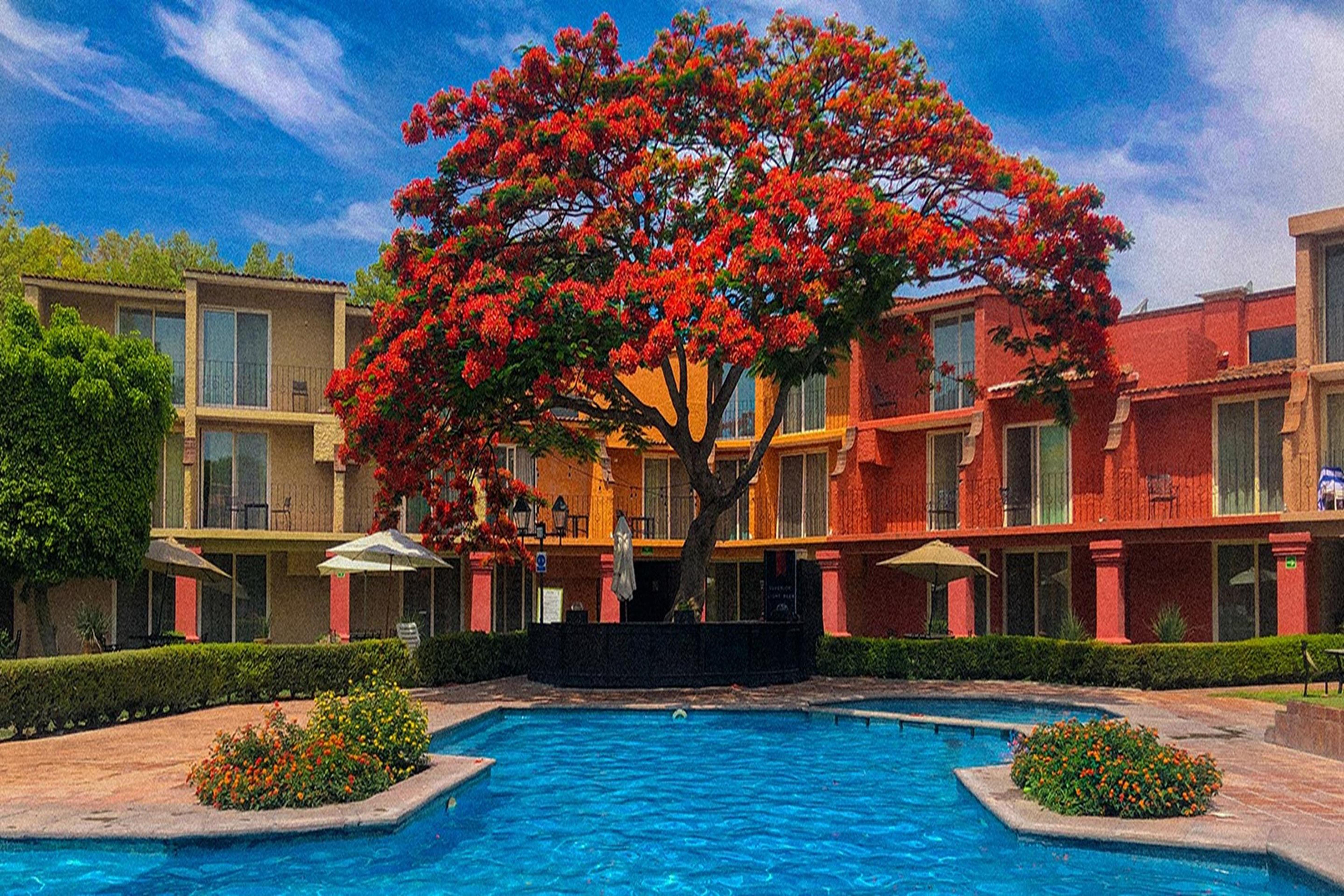 Real De Minas San Miguel De Allende Exterior foto The pool at the Hotel del Angel